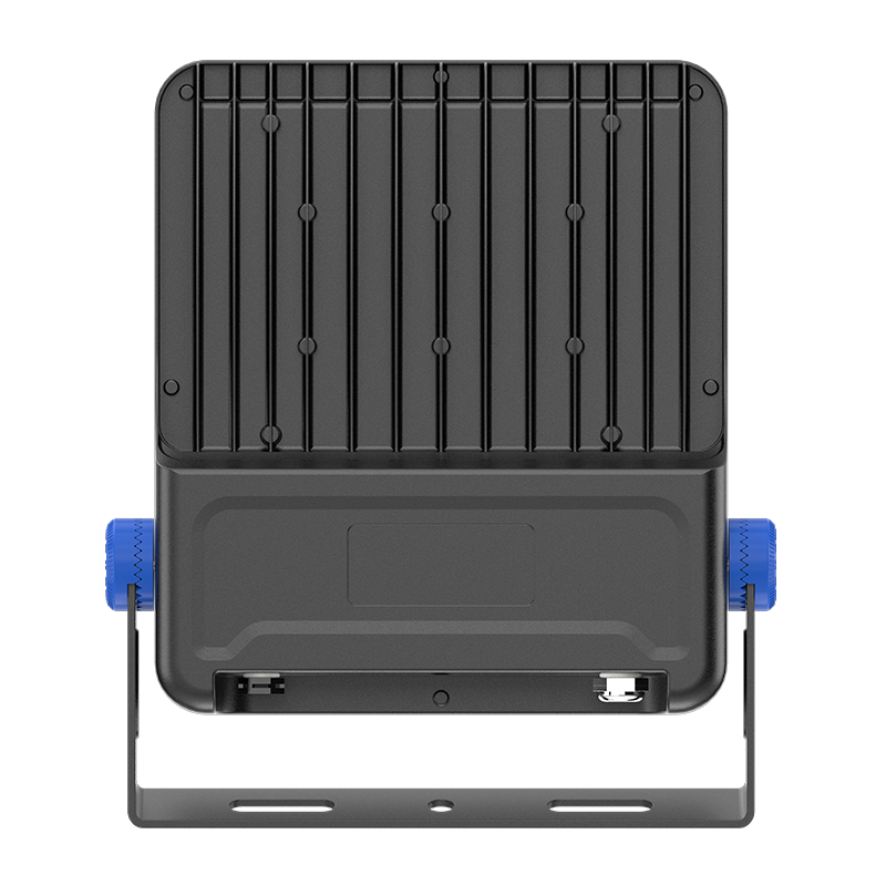 PY-FL05-100W