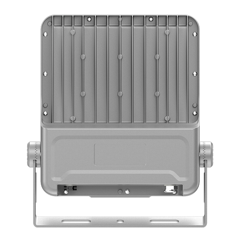 PY-FL02-100W