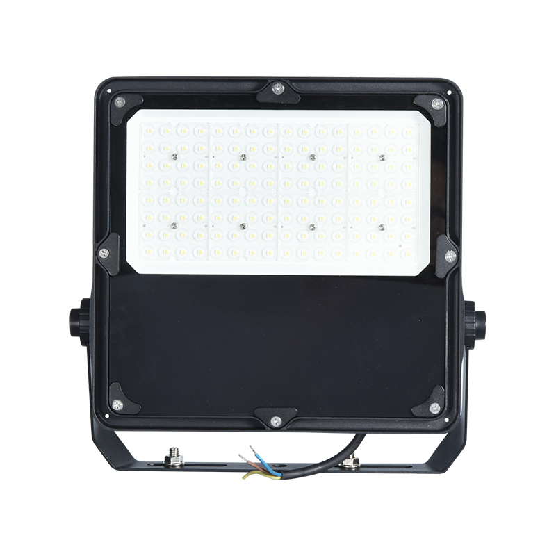 PY-BG01-100W