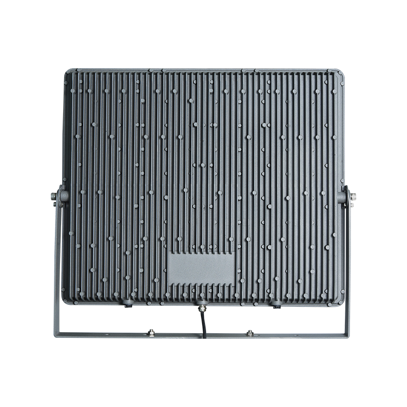 DNF-1000W