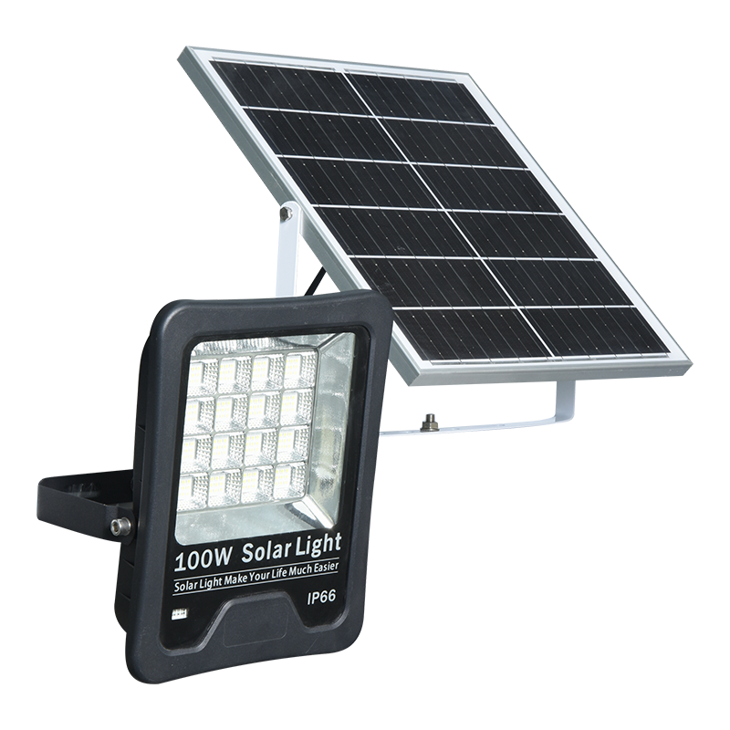 PY-SLFL20-100W