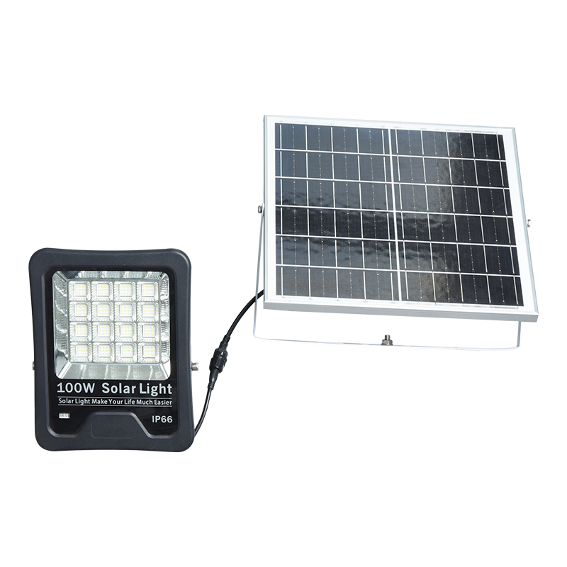 PY-SLFL20-100W