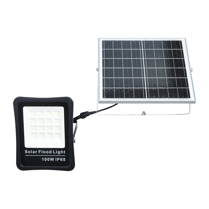 PY-SLFL30-100W