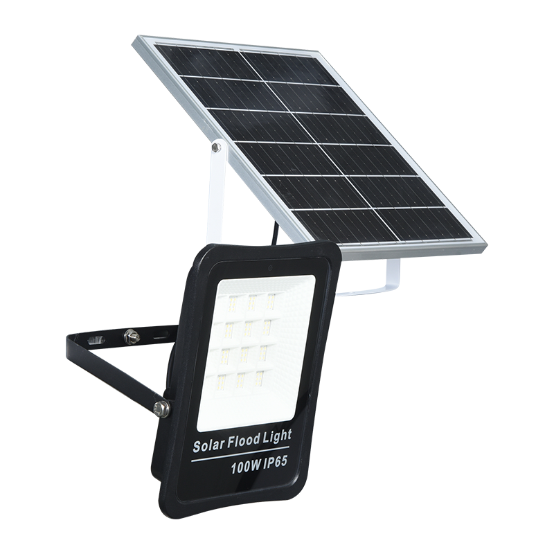 PY-SLFL30-100W