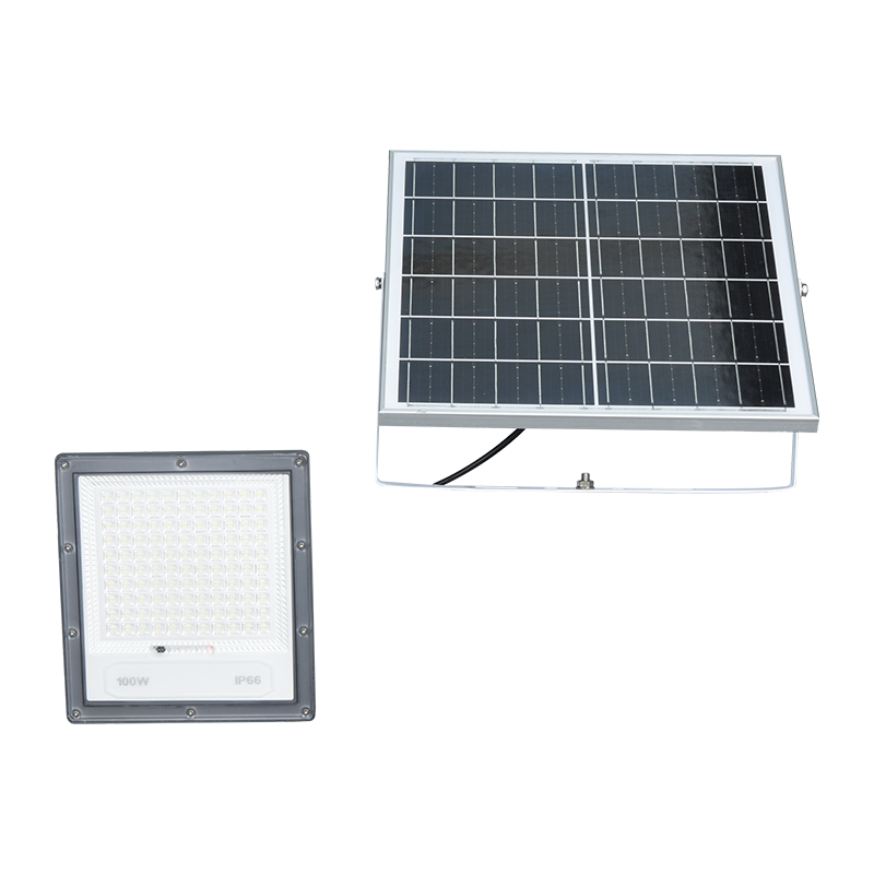 PY-SLFL40-100W