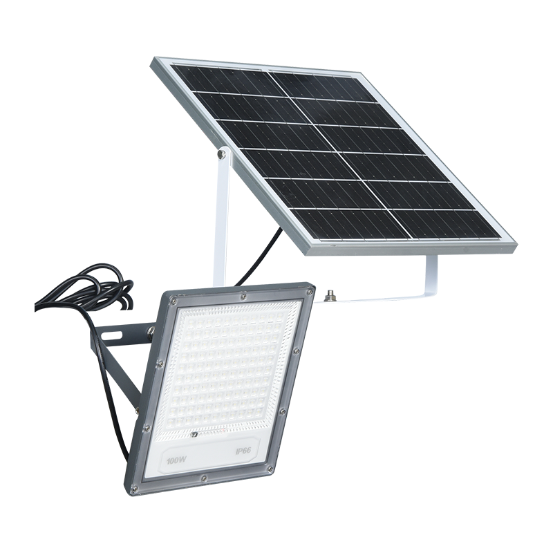 PY-SLFL40-100W