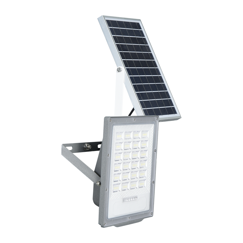 PY-SLFL50-100W