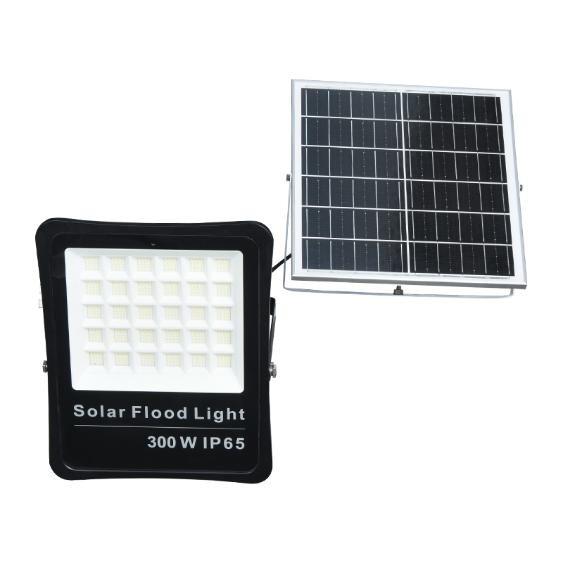 PY-SLFL30-300W