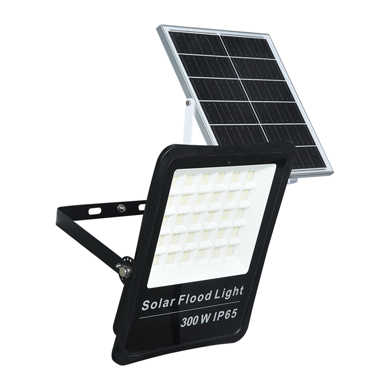 PY-SLFL30-300W