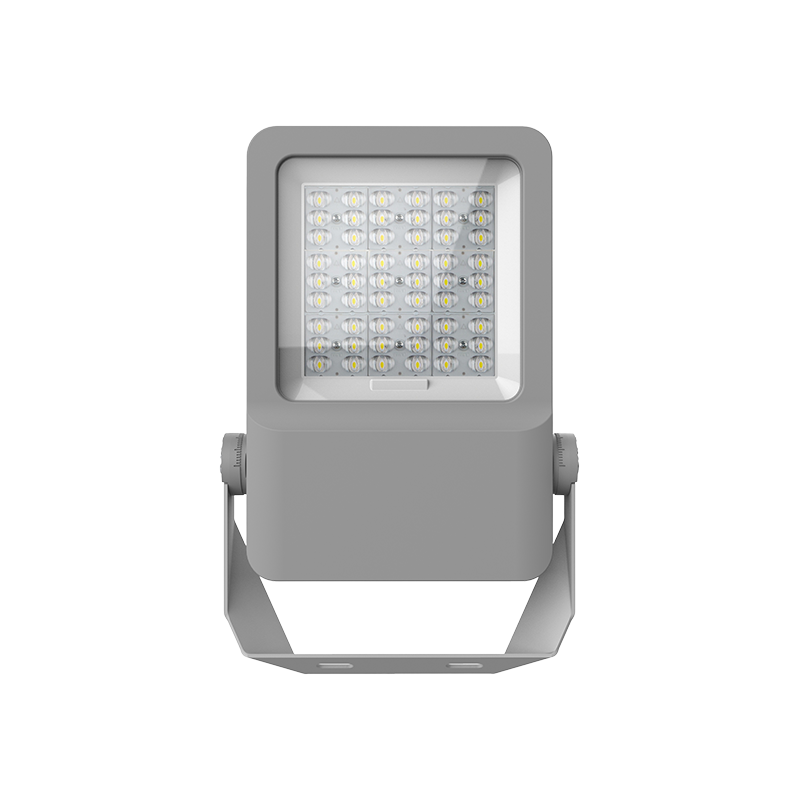 F01-100 Outdoor Waterproof LED Floodlight